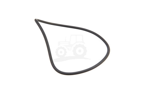 O-ring