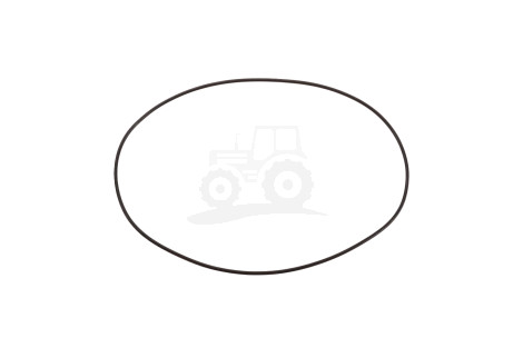 O-ring
