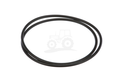 O-ring