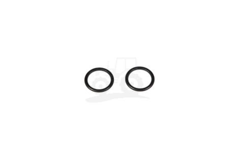 O-RING