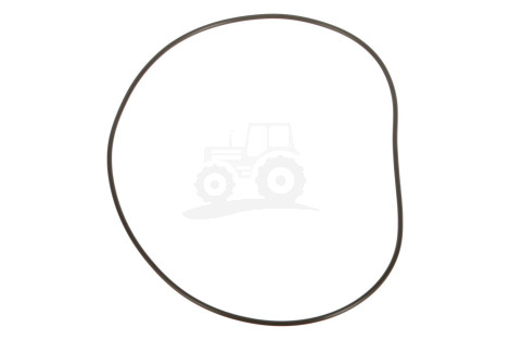 O-RING