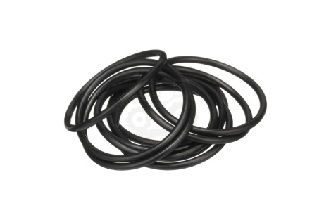 O-ring