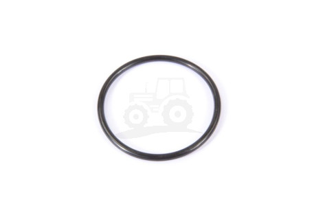 O-ring