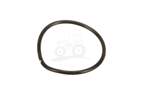 O-ring
