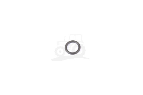O-ring