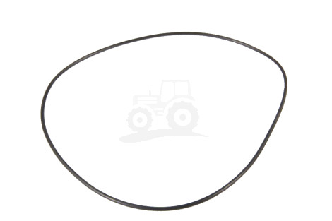 O-ring
