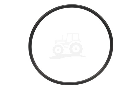 O-ring