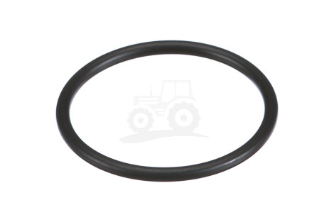 O-ring