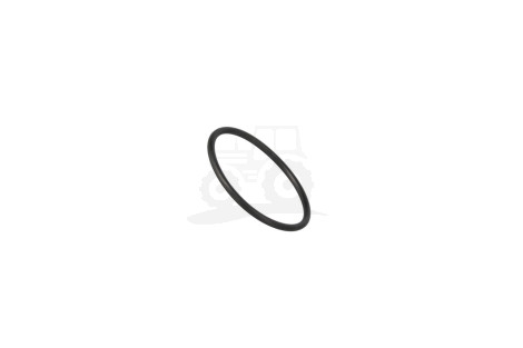 O-ring