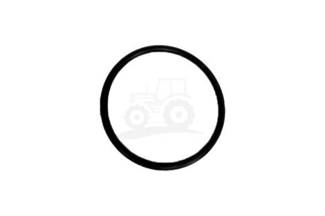 O-ring