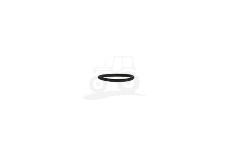 O-ring