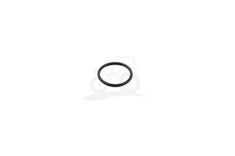 O-ring
