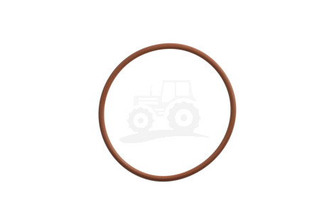 O-ring