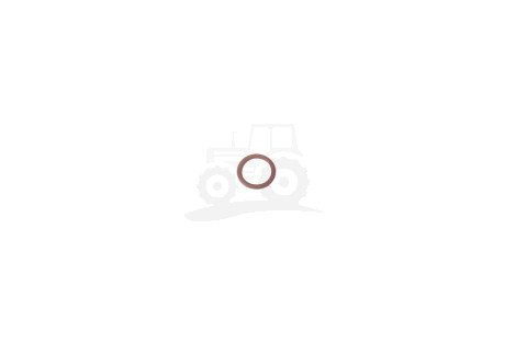 O-ring