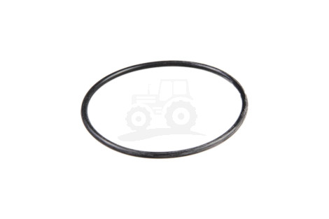 O-ring