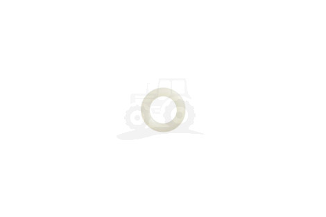 O-ring