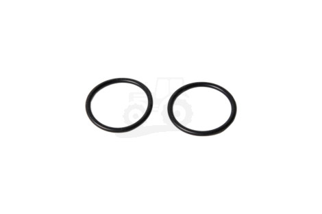 O-RING