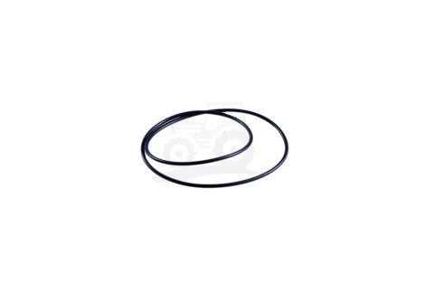 O-ring