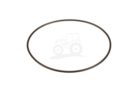 O-ring