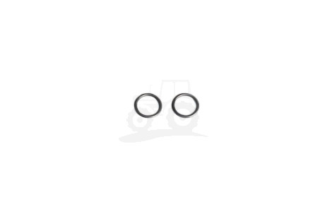 O-ring