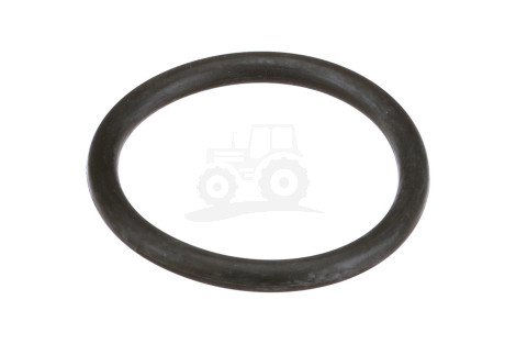 O-ring