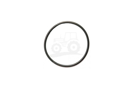 O-ring