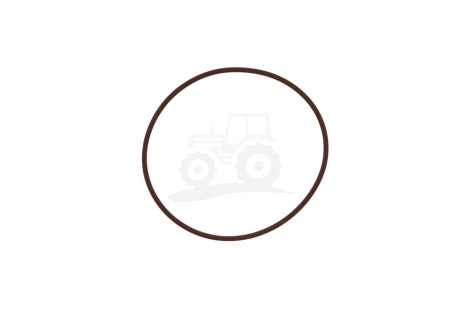 O-ring