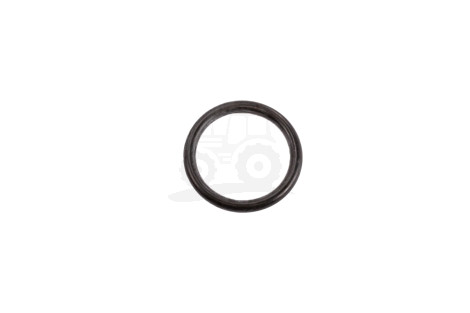 O-ring
