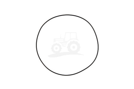 O-ring