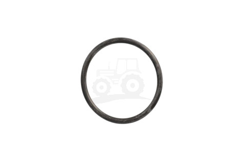 O-ring