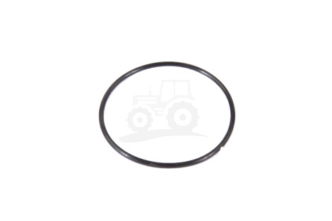 O-ring