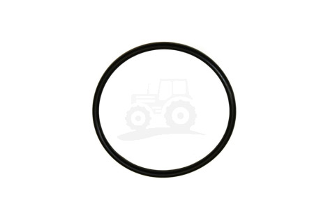 O-ring