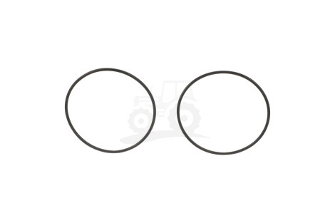 O-ring