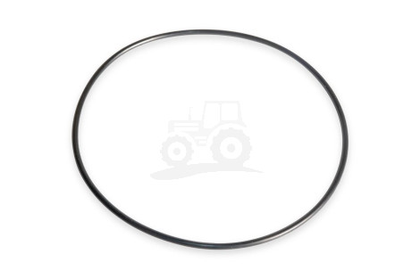 O-ring