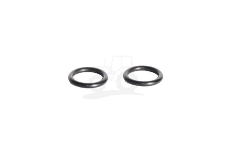 O-ring