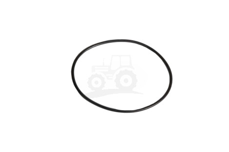 O-ring