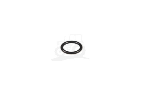 O-ring
