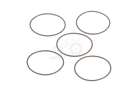 O-ring