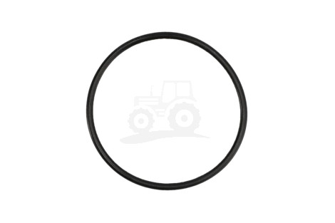 O-ring