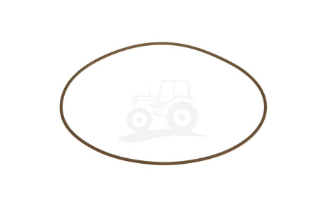 O-ring