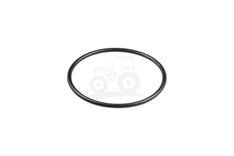 O-ring