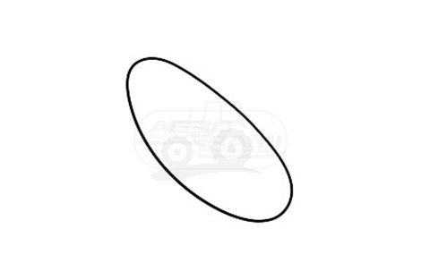 Wąż