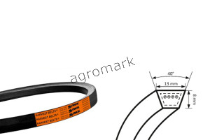 Pasek HARVEST CL-6613450