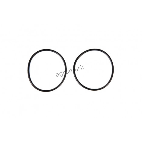 O-ring