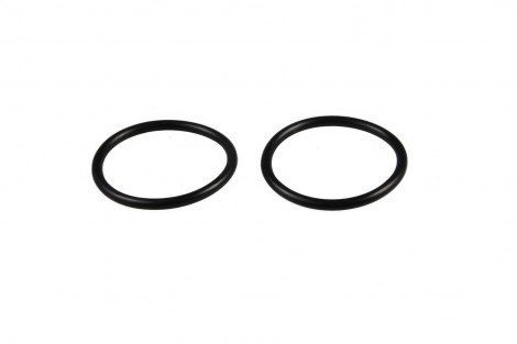 O-ring