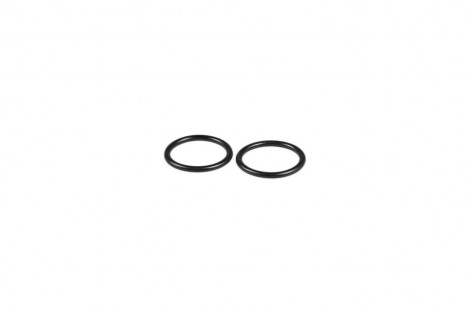 O-ring