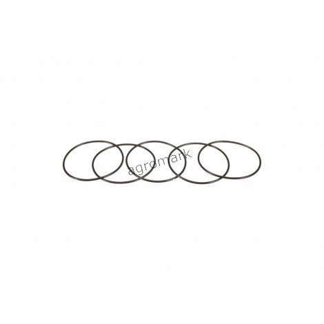 O-ring