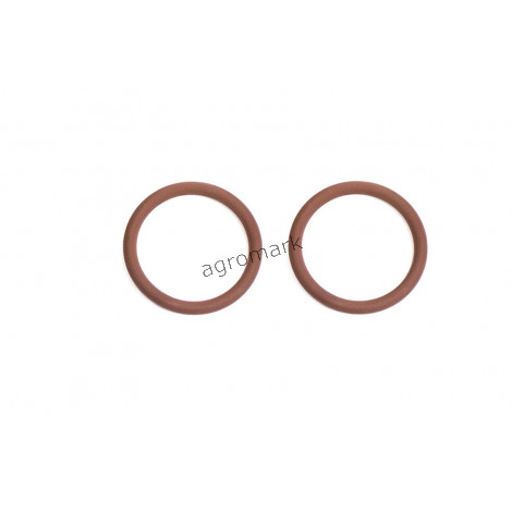 O-ring