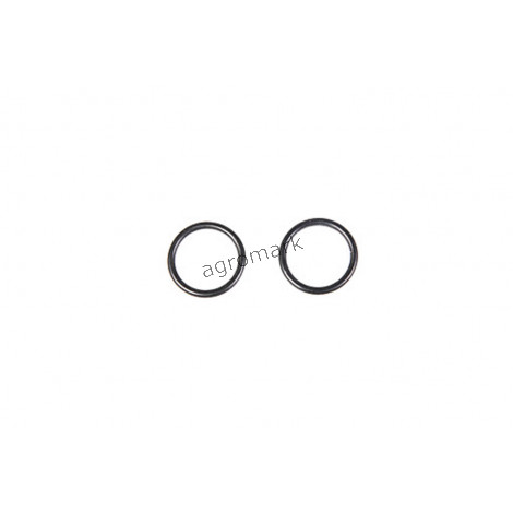 O-ring