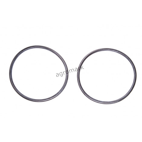 O-ring